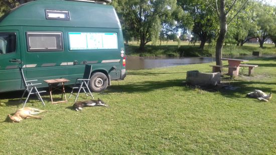 Als wir am Morgen aufwachen, sehen wir, dass wir 3 Aufpasser hatten.
Kosten für eine  Nacht Wache: 3 Würste.