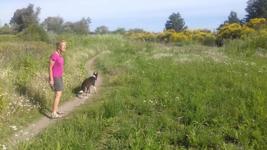 Wir machen einen Spaziergang am Fluss entlang, ca. 4 km. Irgendwann raschelt es im Gebüsch und unsere Aufpasser begleiten uns den ganzen Weg.