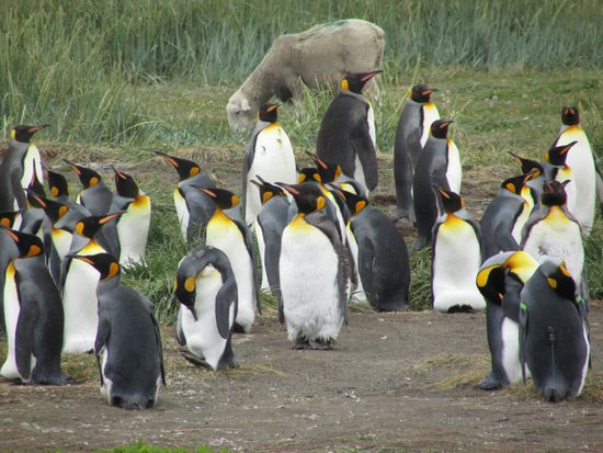 Rumstehen und quatschen wie die Menschen