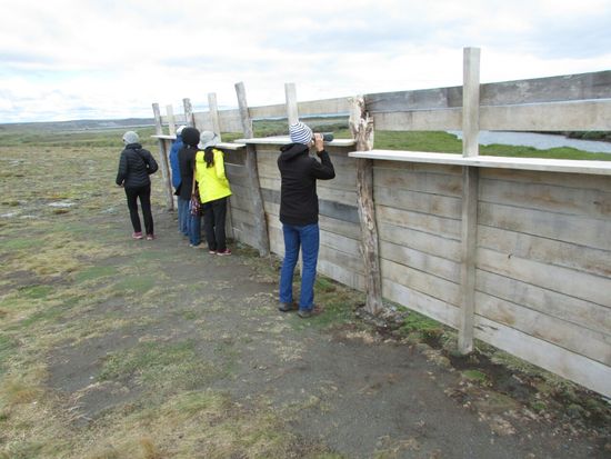 Damit Sie nicht allzu sehr gestört werden, hat man eine Bretterwand errichtet.