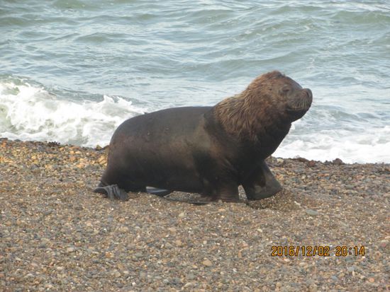 Ich bin der Boss, mir geht's gut, warum?