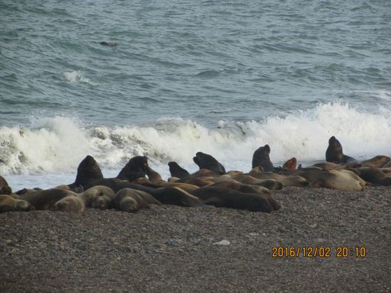 Aber jeden Tag muß ich mich behaupten; auch nicht einfach. Irgendwann werde ich verlieren.