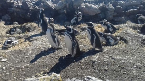 ... und werden bestaunt.