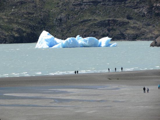 Treibende Stücke, die vom Grey Gletscher abgebrochen sind.