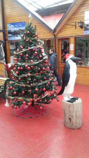 Und wir werden doch noch an Weihnachten erinnert.
Hier in Chile sind die Geschäfte etwas geschmückt, aber in Argentinien gar nicht.
In beiden Ländern haben wir keine Weihnachts-Süßigkeiten gesehen - schade.