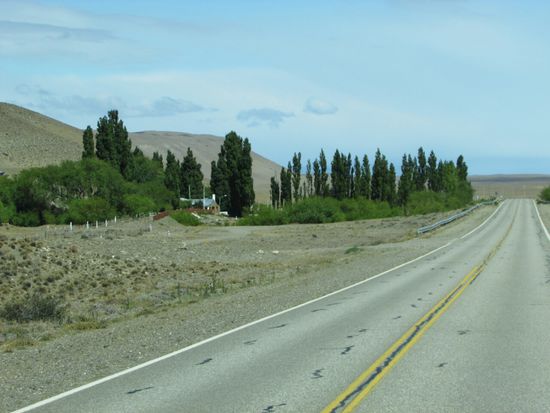 Nach endlosem Staub etwas Grün, muß natürlich fotografiert werden.