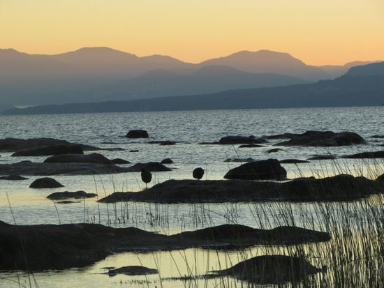 Morgenstimmung am See.