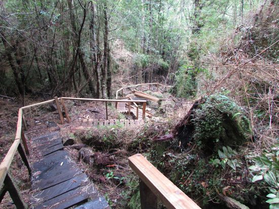 Am nächsten Morgen geht es ganz früh los.