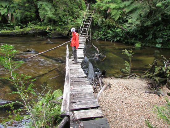 Eigentlich ist der Weg und auch die Brücke gesperrt. Aber ein Verbotsschild zieht Siegmund magisch an und so geht es über vermoderte Stege und wackelige Brücken bis zu einem Fluss, den man durchwaten muss. Das will ich dann aber doch nicht und so marschieren wir wieder zurück und fahren bis Puerto Montt.