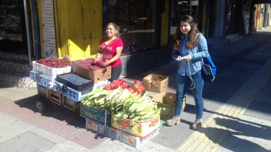 Überall gibt es frisches Obst und Gemüse, im Dezember?
