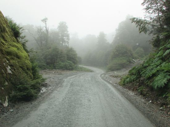 Manchmal ist die Strecke richtig mystisch.