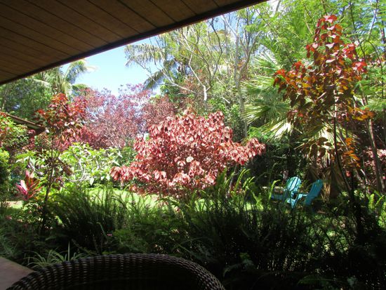 "Unser" üppiger Garten