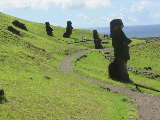 Diese Moais wiegen zwischen 40 - 70 to und haben eine Größe von 5 -  7 m.