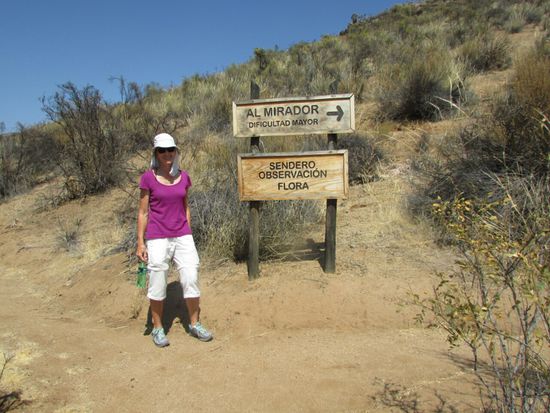 Wir haben erst noch überlegt, ob wir bei der Hitze auf den Berg gehen.