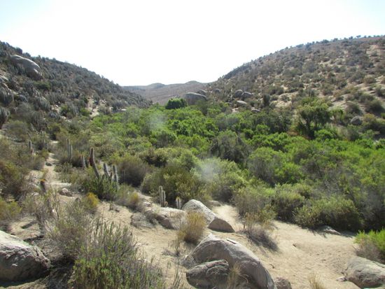 In diesem Tal sind viele ...