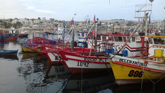 Farbe gibt es genug,