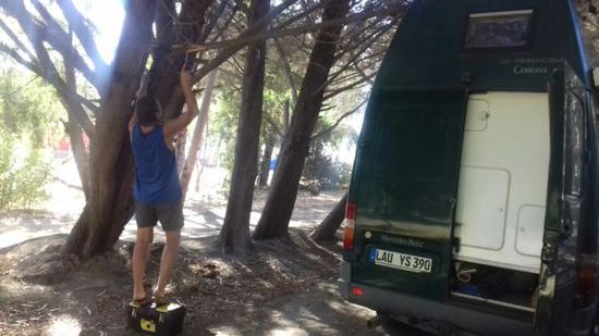 Der eine Ast ist im Weg