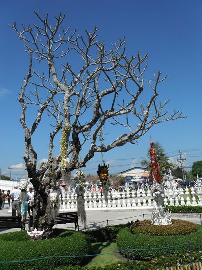 Gartenanlage rund um den Wat  ! Sogar der Baum ist irgendwie eigenartig - kein einziges Blatt , . . .