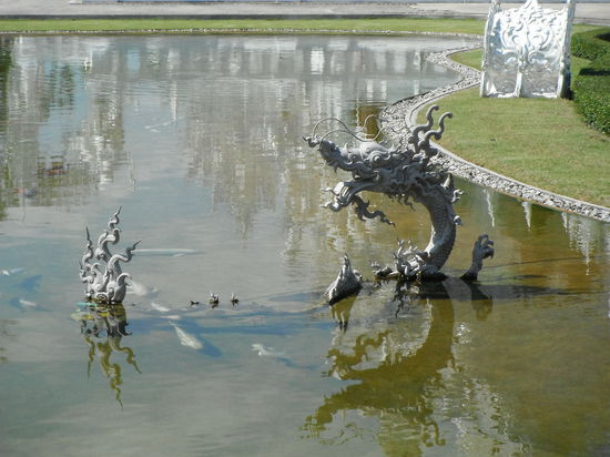 auch die Fische haben sichtlich Spaß im Teich vor dem White Temple !