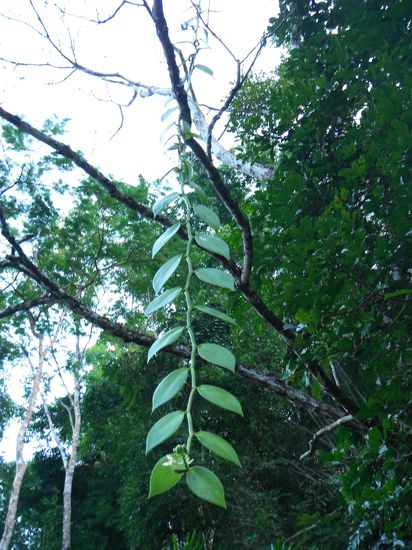 unterwegs war auch die Flora ein Foto wert