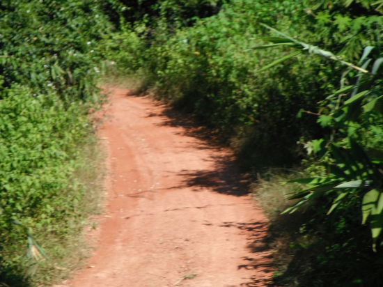 über solche menschenleeren Lehmpisten gehts eine weitere Stunde stetig bergauf in den laotischen Dschungel