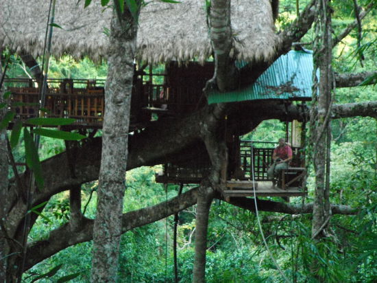 unser Baumhaus Nr.1 !