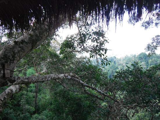 Man beachte bitte unseren Schlafzimmerausblick !