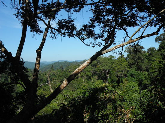 Mit so einem Ausblick läßt's sich's leben !