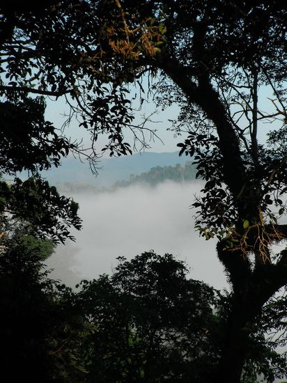 Der Morgennebel legt sich . . .