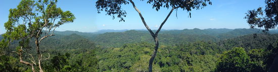 . . . und gibt Panoramaausblicke frei