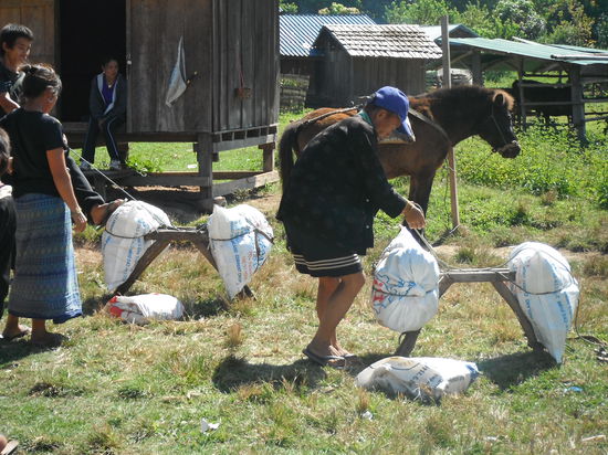 zurück im Basiscamp