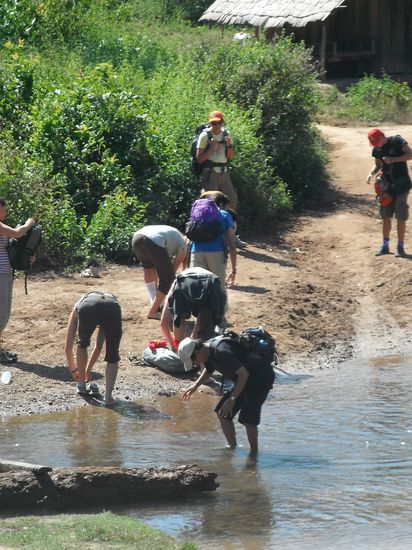 Die obligatorische Fußwaschung vor betreten des Dschungels - oder doch nur ein gut getarnter Seuchenteppich ? 