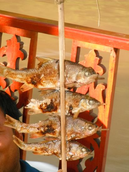 Fischerl auf laotisch