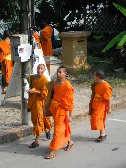 Fruehmorgens vor unserer Guesthouseterrasse