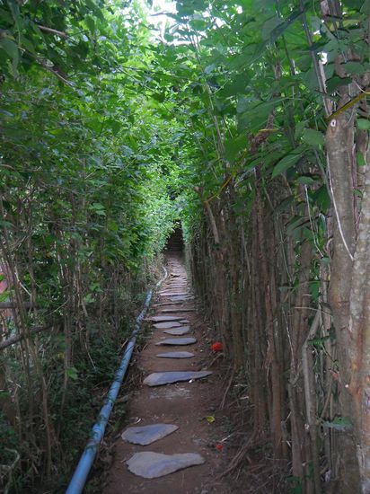 Der Weg zum Abhaengerrestaurant !