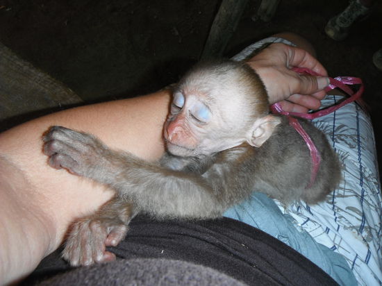 Zufrieden eingenickt !