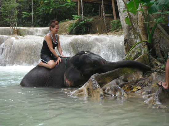 Verfressen - typisch fuer alle Viecherl !
