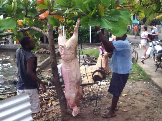 Grillfest in Sandy Bay