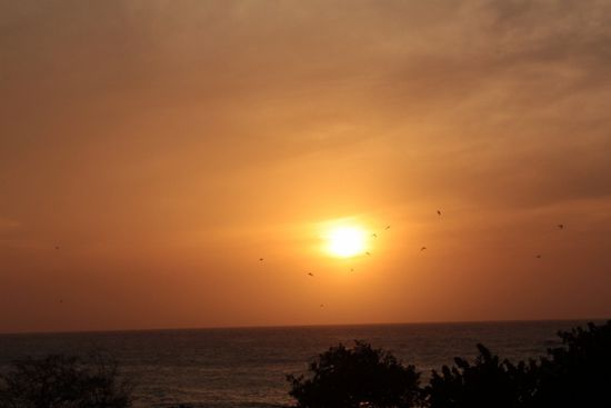 Sonnenuntergang im Smog