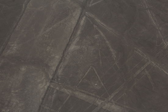 Linien-Wirrwar &amp; mittendrin eine Spinne