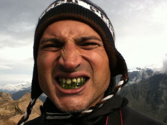 Lecker Coca Blätter, machen so schöne Zähne