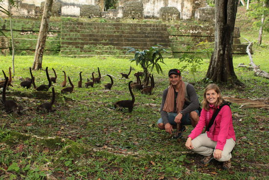 wir sind schon ein Teil der Familie - muss wohl am Geruch liegen 