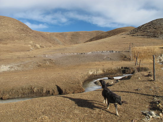 Wanderung mit Hund (2)