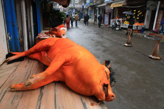 Kathmandu - Fleisch wird am Strassenrand verkauft