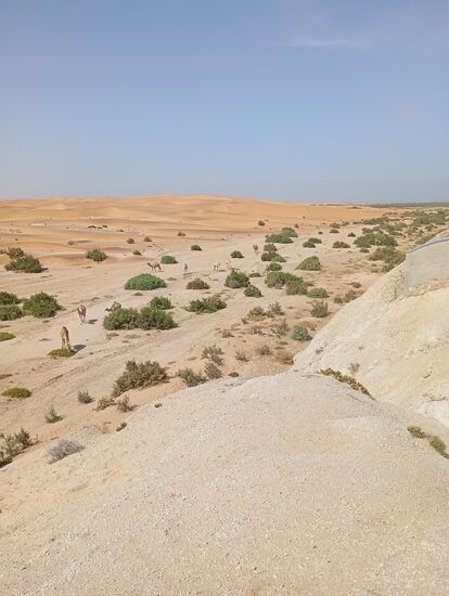 Wo grüne Büsche wachsen, muß 2025 meterhoch Regenwasser geflossen sein.
Wann wird das wieder passieren ?