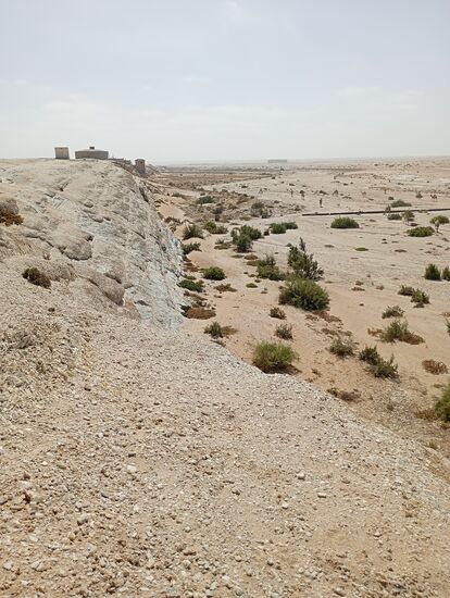 Blick flußauwärts-Werden die Kamele da in grünere Bereiche laufen ?