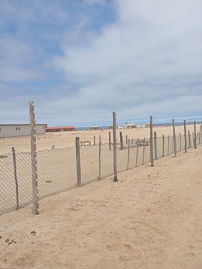 Wenn auch die andern Campsites im Norden Namibias so leer sind, werden wir uns auf unserer geplanten Tour mit dem Wohnauto wohl nirgends vorher anmelden müssen.