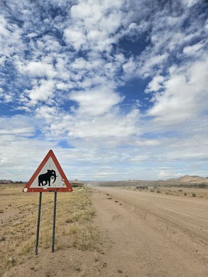 Springböcke haben wir ja schon mal gesehen, sollte vor uns der Haufen schon Elefantenmist sein ? Von der Wüste waren wir in die Steppe gekommen, hier fängt wohl die Savanne an !