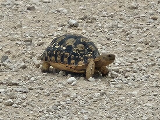 auch so eine kleine dürfen wir nicht übersehen