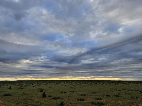 Nach Sonnenuntergang sehen wir Unmengen grasender Tiere, aber zum Saufen kommt keines in unsere Nähe.
